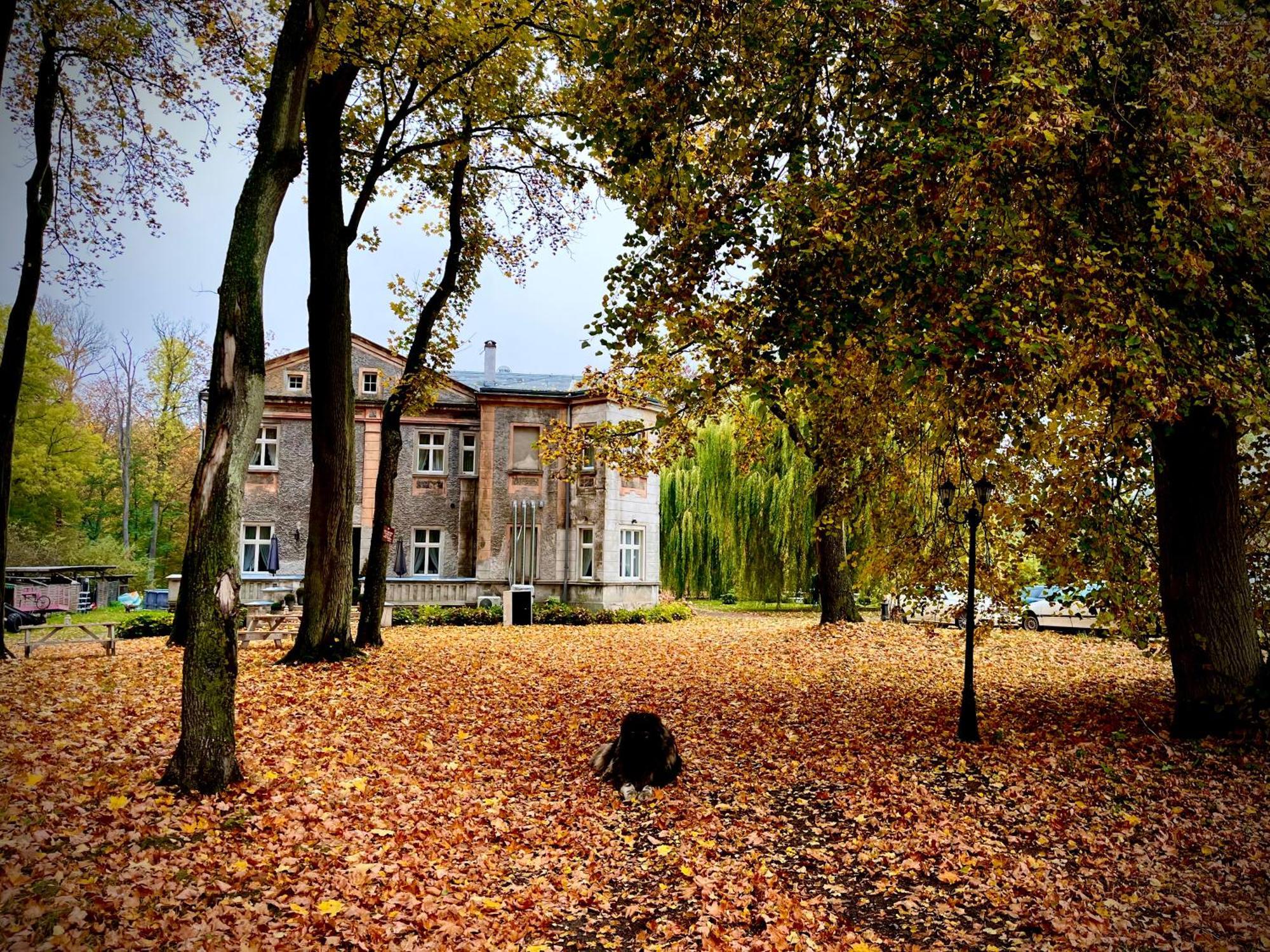 Agroturystyka Hotel Noclegi Palac Camping Wałcz Esterno foto